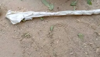 العمل الذي تم العثور عليه 