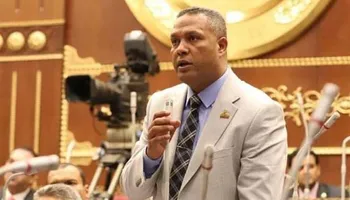 النائب محمد حمزة، عضو مجلس الشيوخ