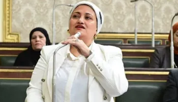 النائبة سناء السعيد 