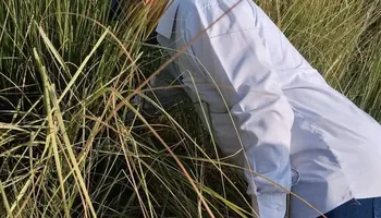 الحملة 