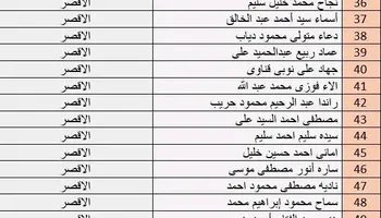 الفاعلية 