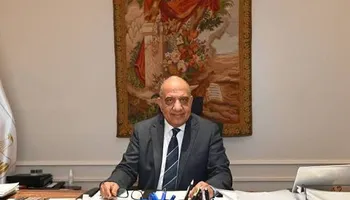 وزير الكهربا