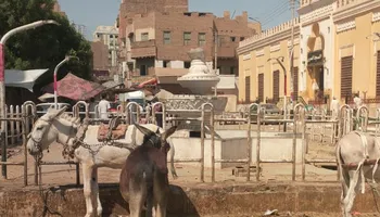 صور من امام المسجد العمري