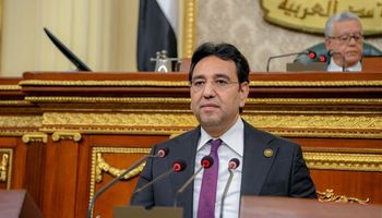 النائب أيمن محسب