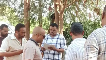 الفاعلية 