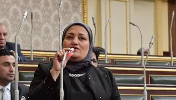 النائبة سناء السعيد