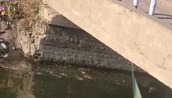 جانب من الواقعة