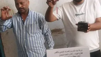 الفاعلية 
