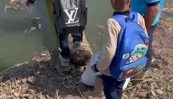 صور من الفيديو المتداول 