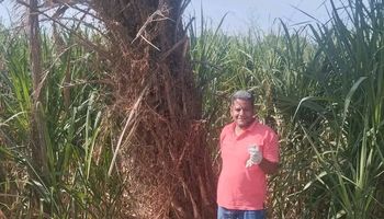 المضبوطات