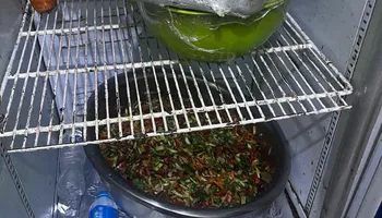 المضبوطات