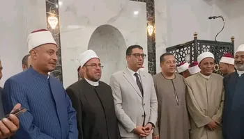 الفاعلية 