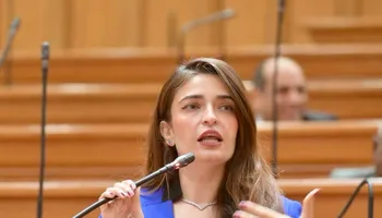 النائبة ايرين سعيد 