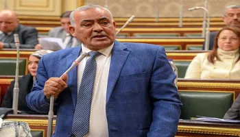 النائب لطفي شحاتة