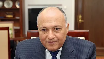 وزير الخارجية السابق سامح شكري