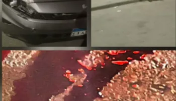 صورة من حادث وفاة عامل التجمع أسفل سيارة