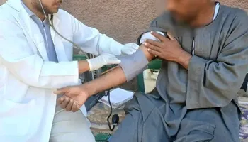 الفاعلية 