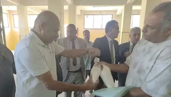 العينات 