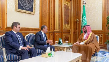 ولي العهد السعودي يتسلم رسالة خطية للملك سلمان من الرئيس السيسي