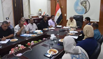 الفاعلية 