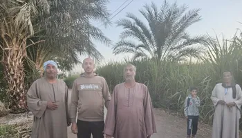 جانب من النجع