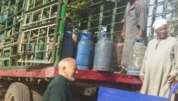 الفاعلية 