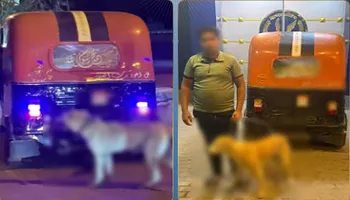 ضبط سائق توك توك ربط كلب وسحله 