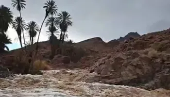 أرشيفية