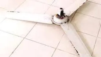 أرشيفية 