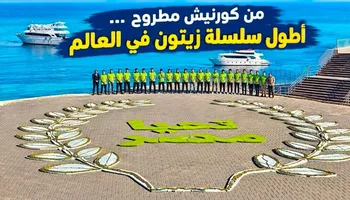 أطول سلسلة زيتون في العالم