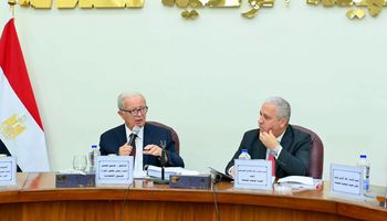 الاستدامة المالية