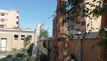 التقليم الجائر