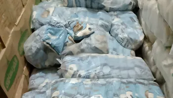 الدقيق المضبوط