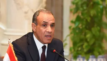 الدكتور بدر عبد العاطي وزير الخارجية