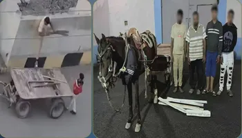 المتهمين 