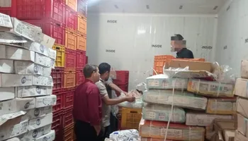 المنوفية 