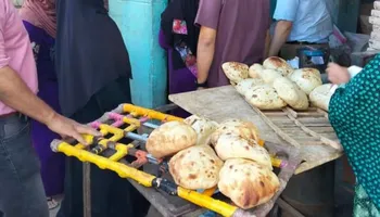 المنوفية 