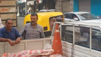 المنوفية 