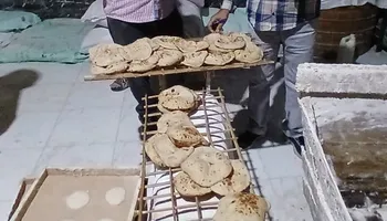 المنوفية 