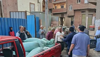 المنوفية 