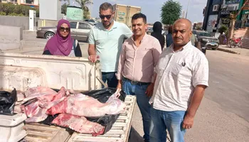 المنوفية 