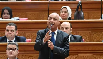 النائب مصطفى بكري 