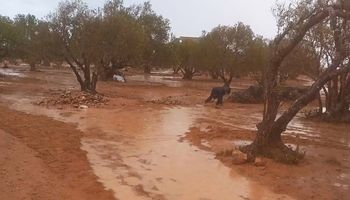 امطار غزيرة علي مدن غرب مطروح 