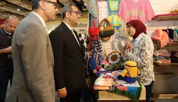 تنمية المشروعات 