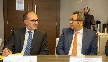 تنمية المشروعات 