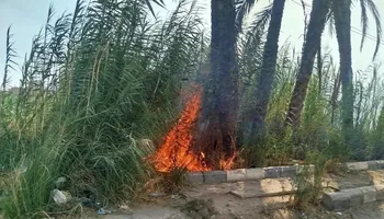 جانب من الحريق 