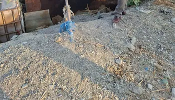 جانب من المضبوطات 