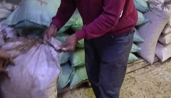 حملات التموين ببنى سويف 