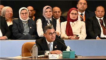 شريف فاروق وزير التموين والتجارة الداخلية