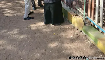 صور الحيوانات